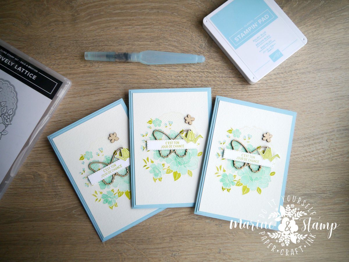 Cartes Places Version Scrap 2019 / Set de tampons Lovely Lattice
