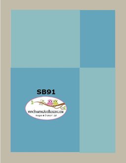 SB 91 Feb 11