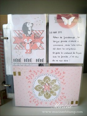 StampinUp - Marine Wiplier - AlbumGrossesse006