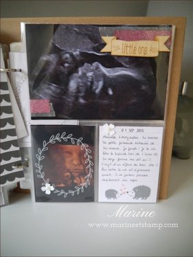 StampinUp - Marine Wiplier - AlbumGrossesse035