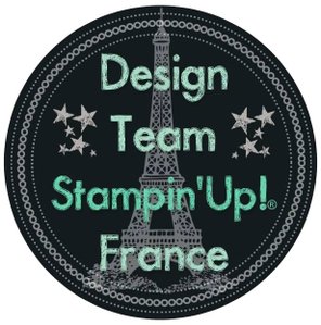 Logo DT copie