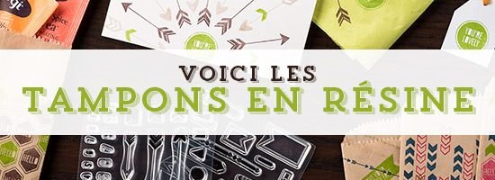 demoheader_photopolymer_demo_5.1.2014_FR