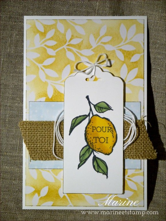StampinUp - Marine Wiplier - BHJanv15-2