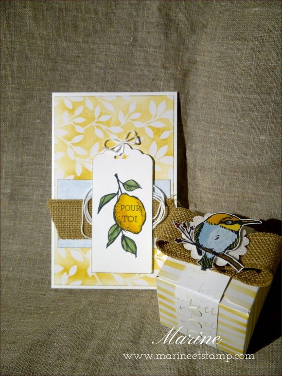 StampinUp - Marine Wiplier - BHJanv15