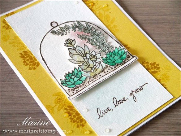 StampinUp - Marine Wiplier - Cartes019-1